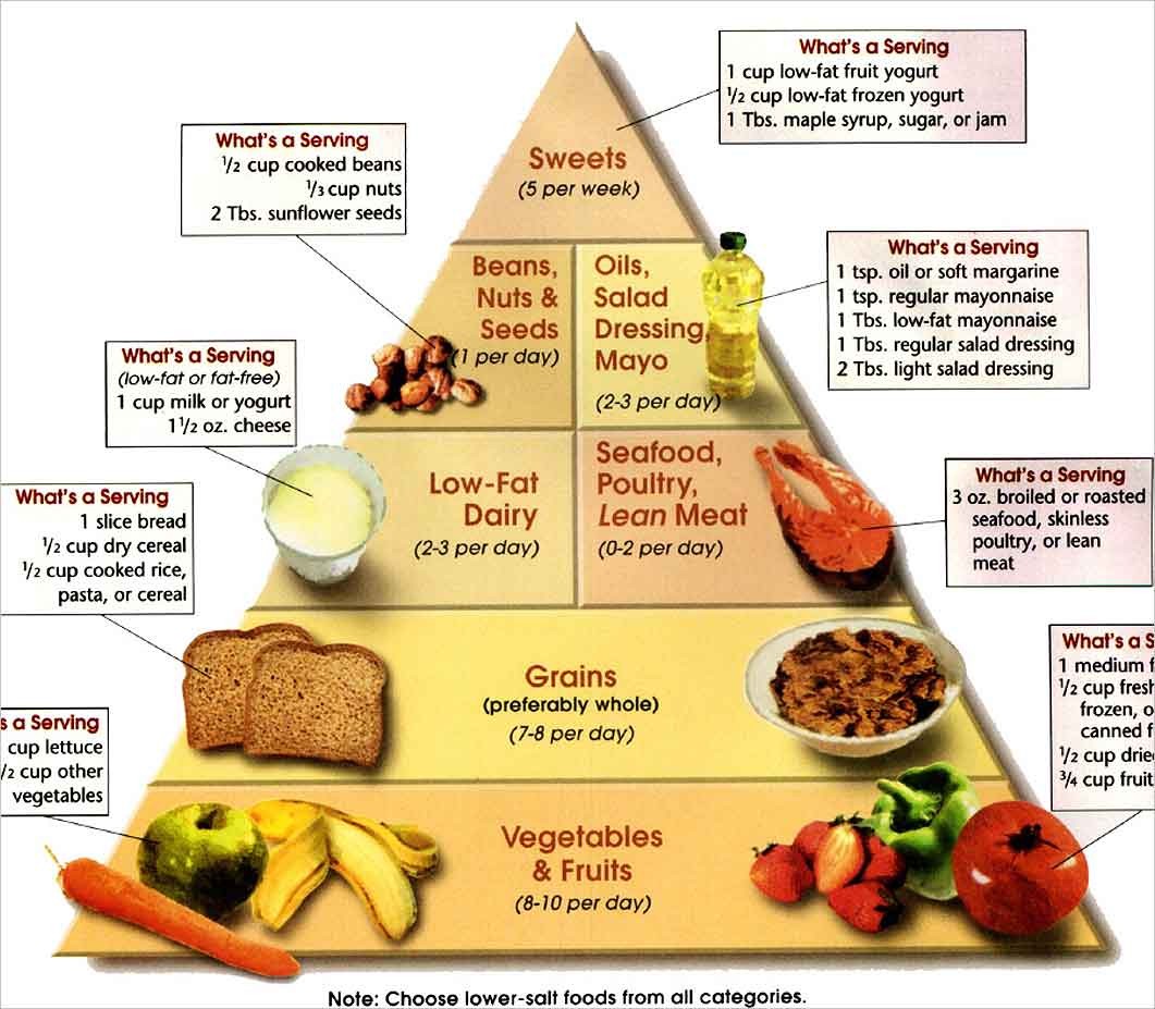 Healthy Diet Adults